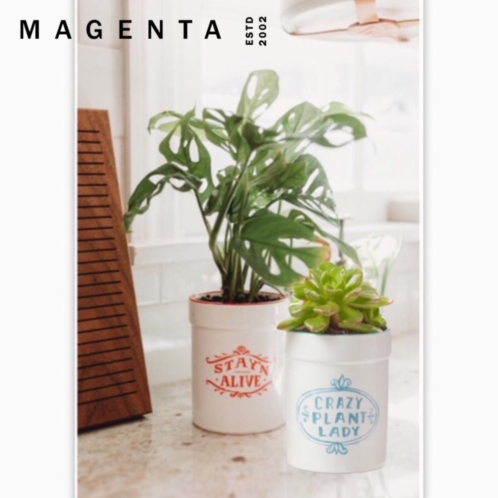 Plantlife: Magenta x Angela Stachling Mini Pot